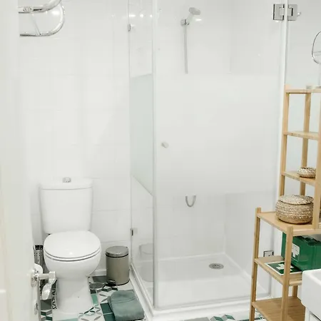 Duplex With Terrace In Principe Real