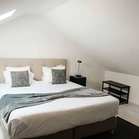 Duplex With Terrace In Principe Real Appartement *