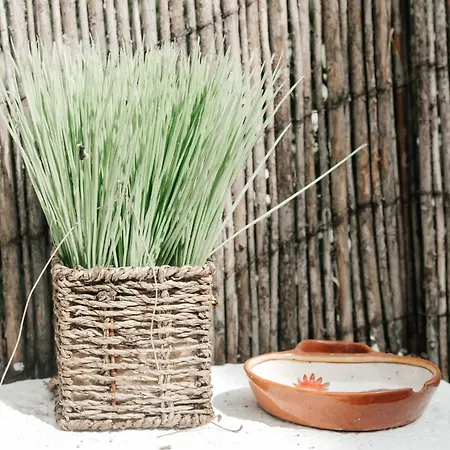 公寓 Duplex With Terrace In Principe Real